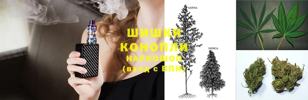 прущий лед Богородицк